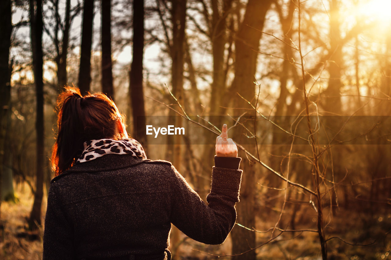 Rear view of woman in forest