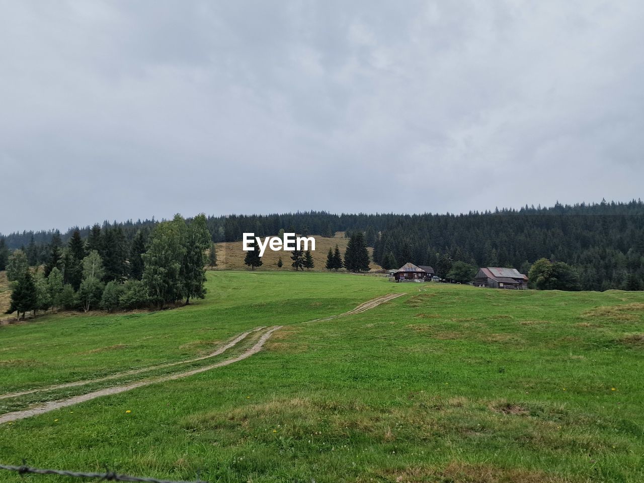 plant, sky, hill, grass, land, landscape, environment, pasture, field, meadow, tree, grassland, cloud, nature, scenics - nature, rural area, green, plain, no people, beauty in nature, tranquility, tranquil scene, prairie, non-urban scene, plateau, natural environment, growth, day, farm, rural scene, outdoors, agriculture, highland, forest, travel destinations, architecture, mound, travel, tourism