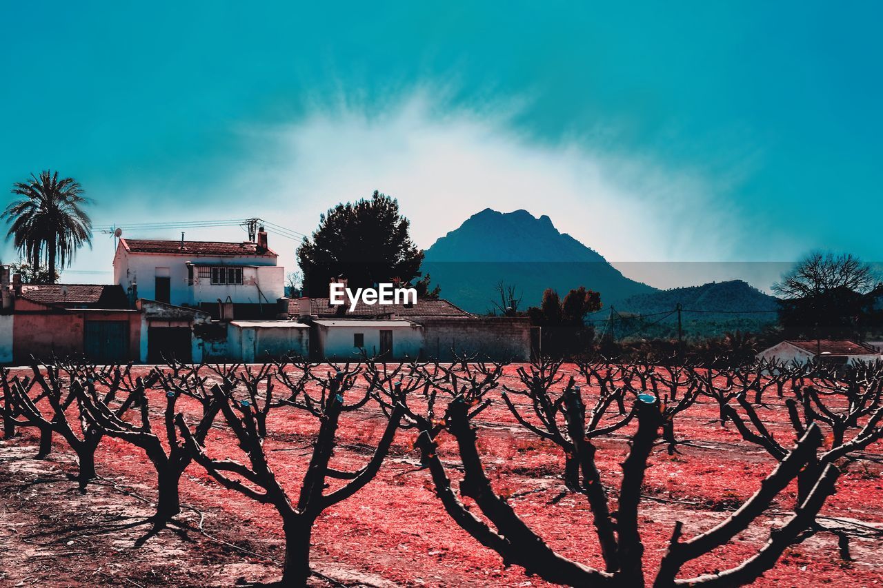 SCENIC VIEW OF BUILDINGS AND MOUNTAINS AGAINST SKY