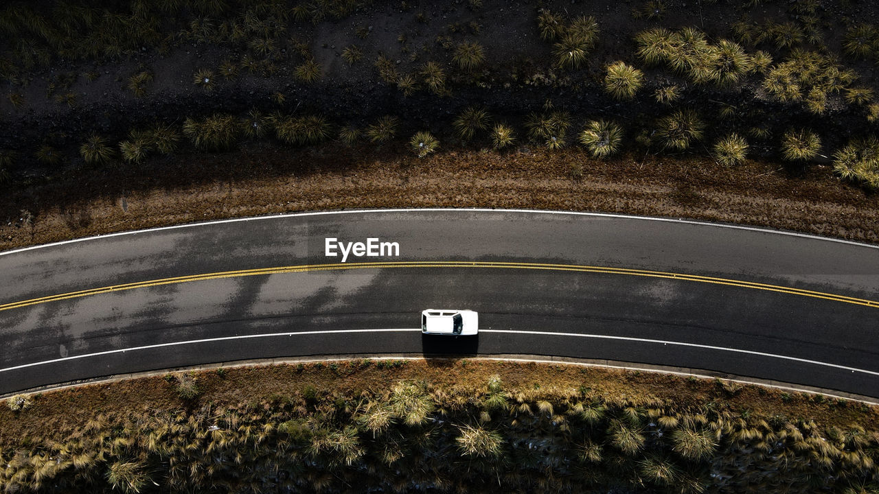 High angle view of road amidst trees