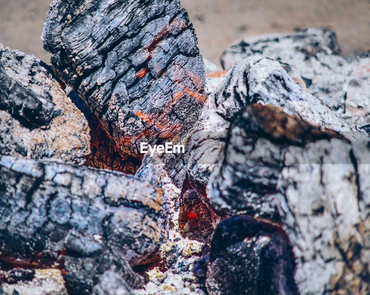 Extreme close up of tree trunk