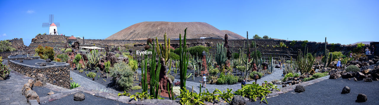 Views of cactus park in lanzarote canary islands