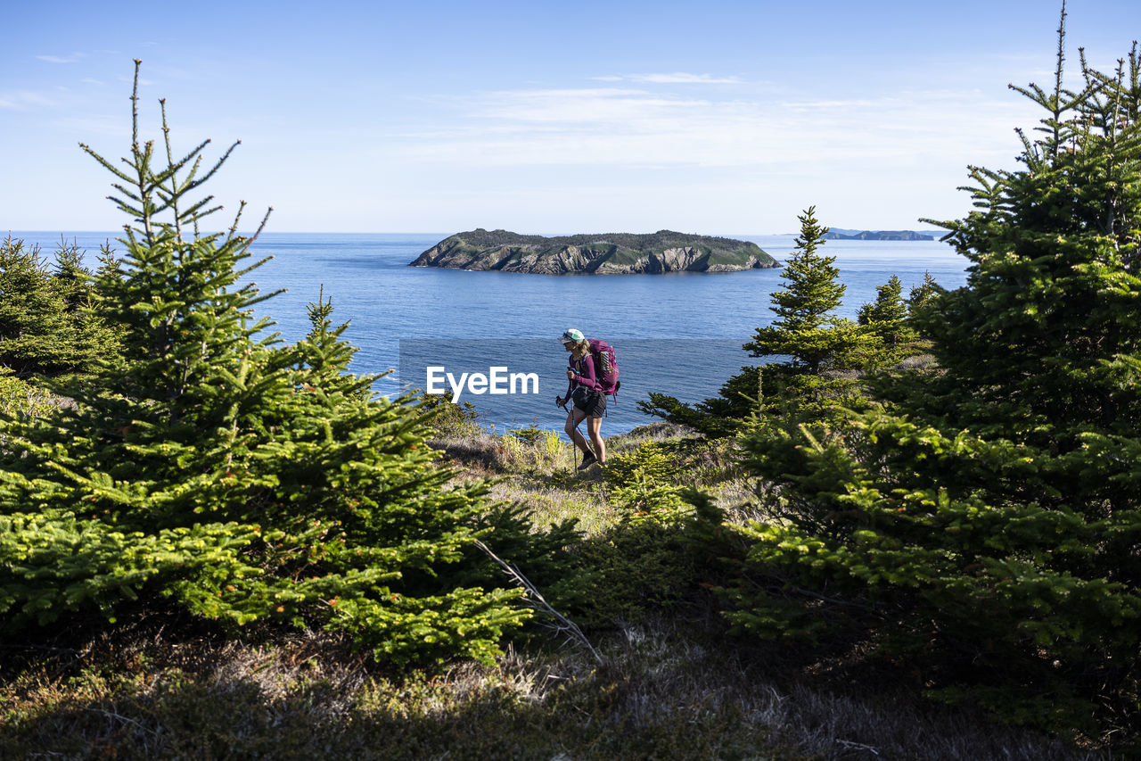 Female backpacker on east coast trail with gull island in background