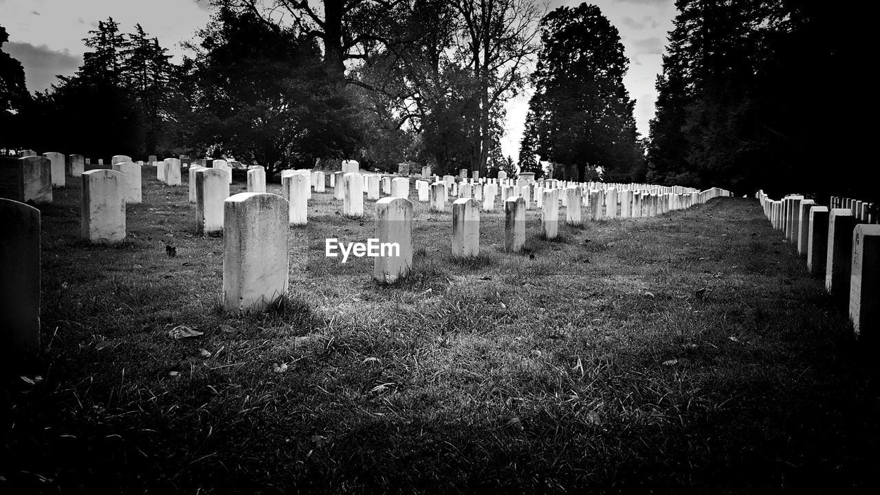 Old cemetery in usa