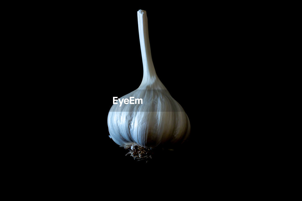 Close-up of garlic against black background