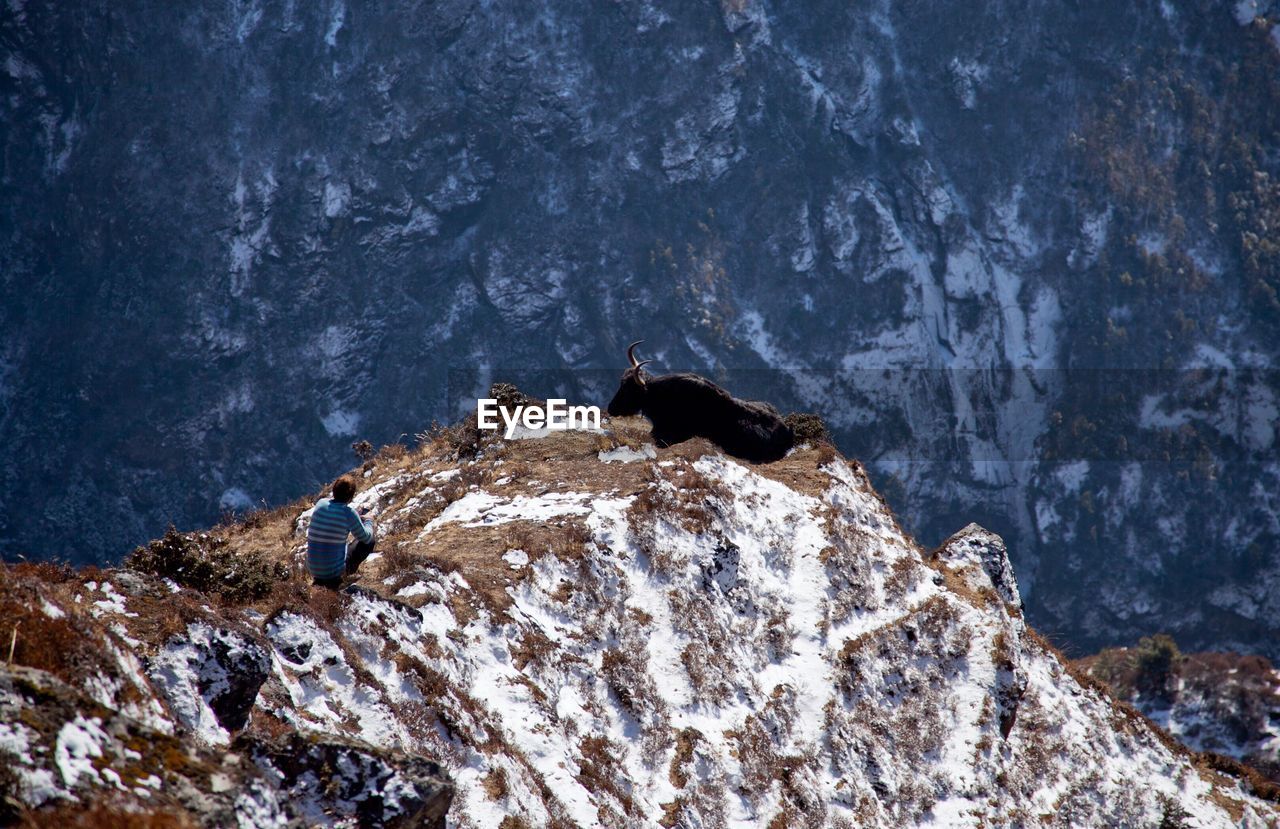 High angle view of man by domestic animal on mountain during winter