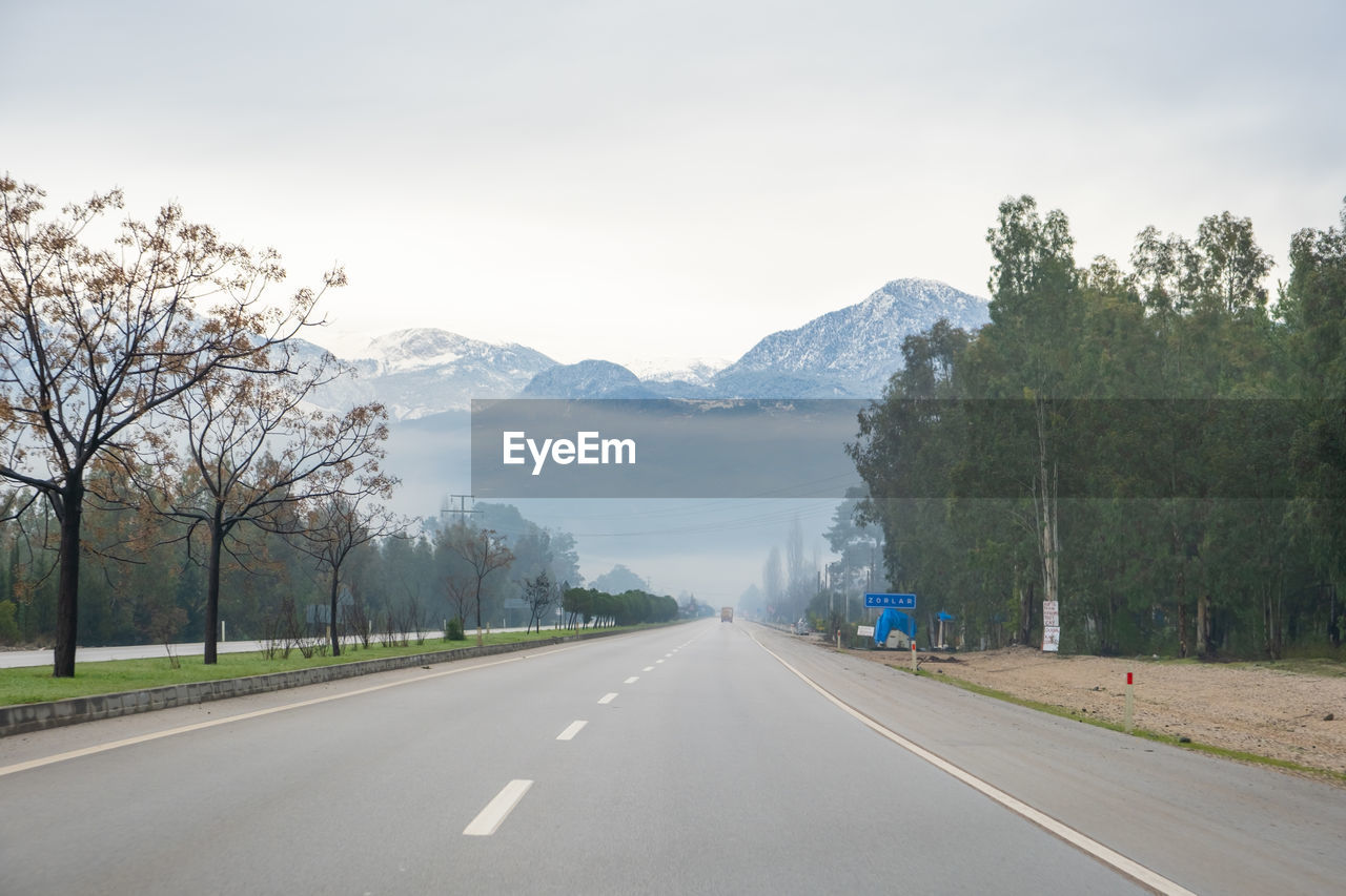 people walking on road