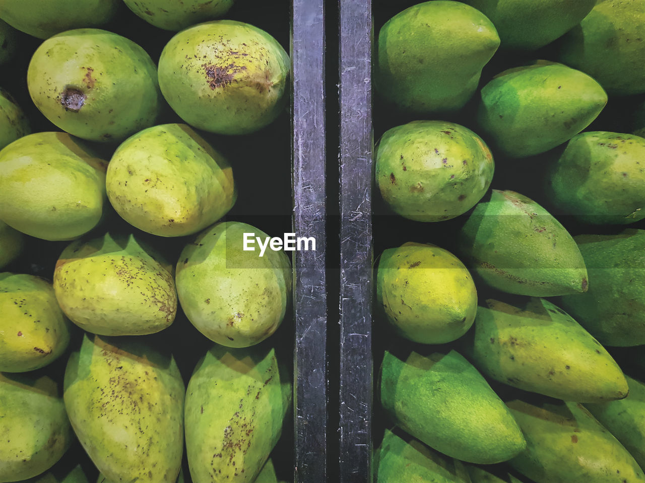 High angle view of fresh green mangoes with natural condition