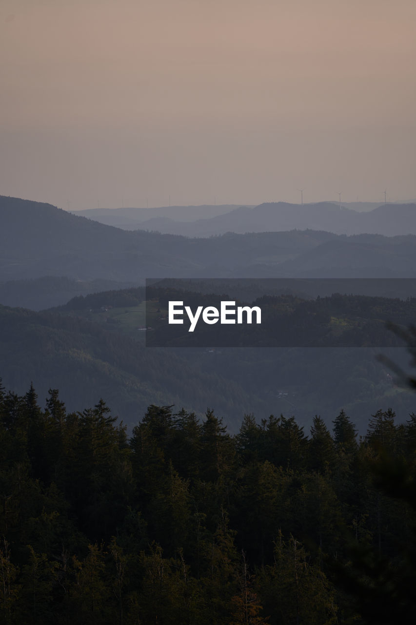 Layers of the black forest in during sunset on a hazy evening