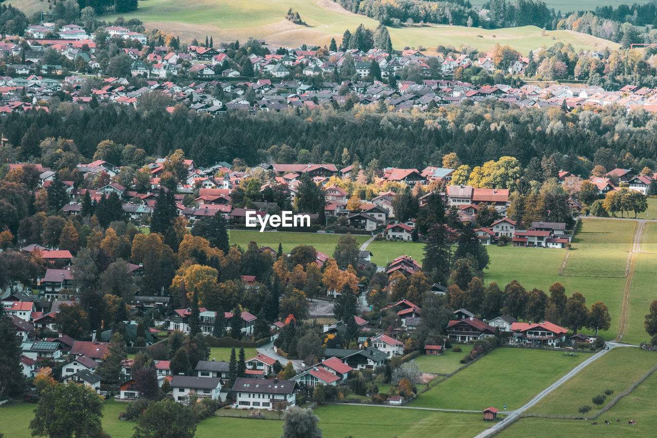 High angle view of trees and houses on field
