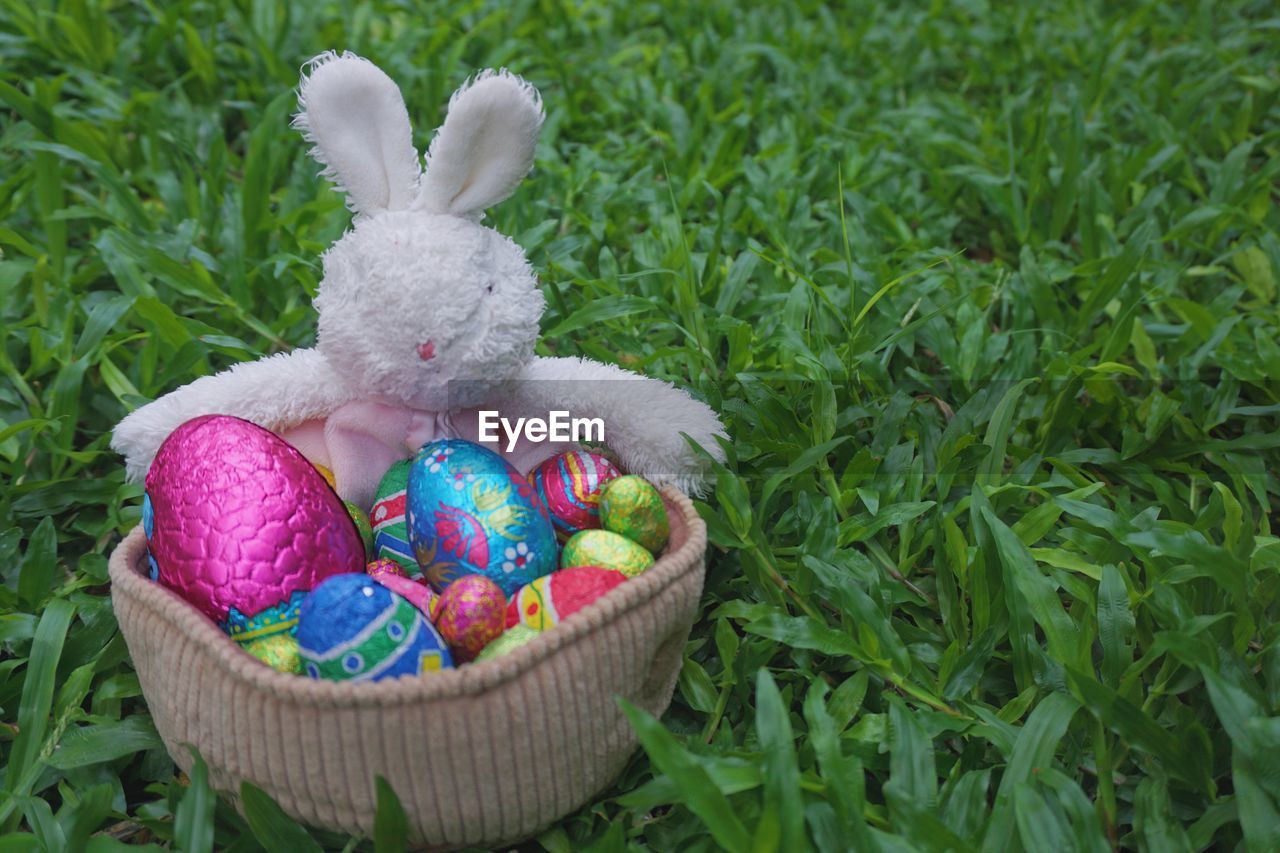 Close-up of easter bunny with eggs in basket on grassy field