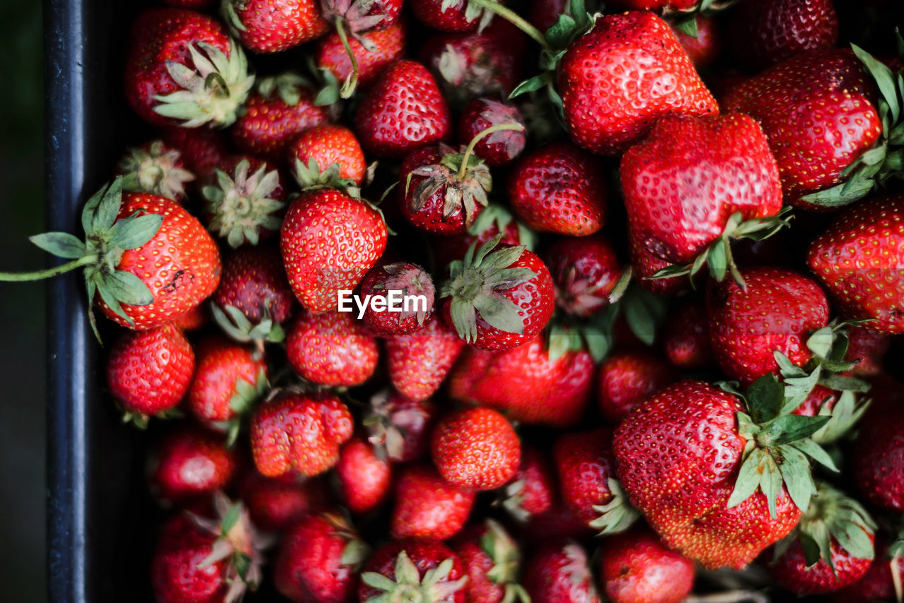 Close up of raw strawberry