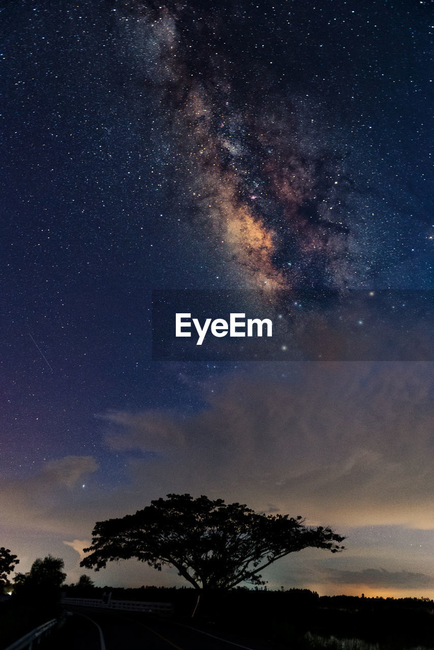 Low angle view of silhouette trees against sky at night