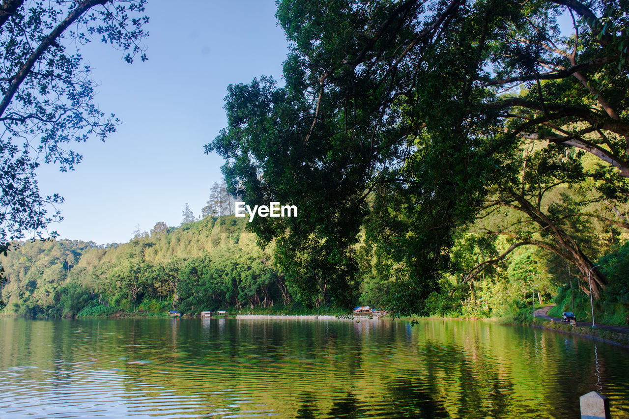 TREES BY LAKE AGAINST SKY