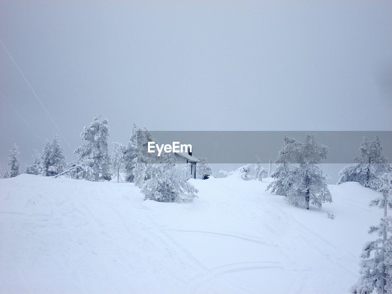 Trees on snow covered field against sky