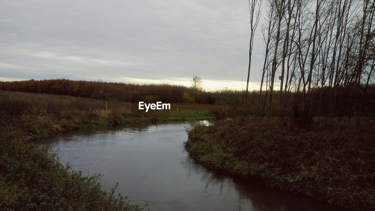 LAKE AMIDST TREES AGAINST SKY