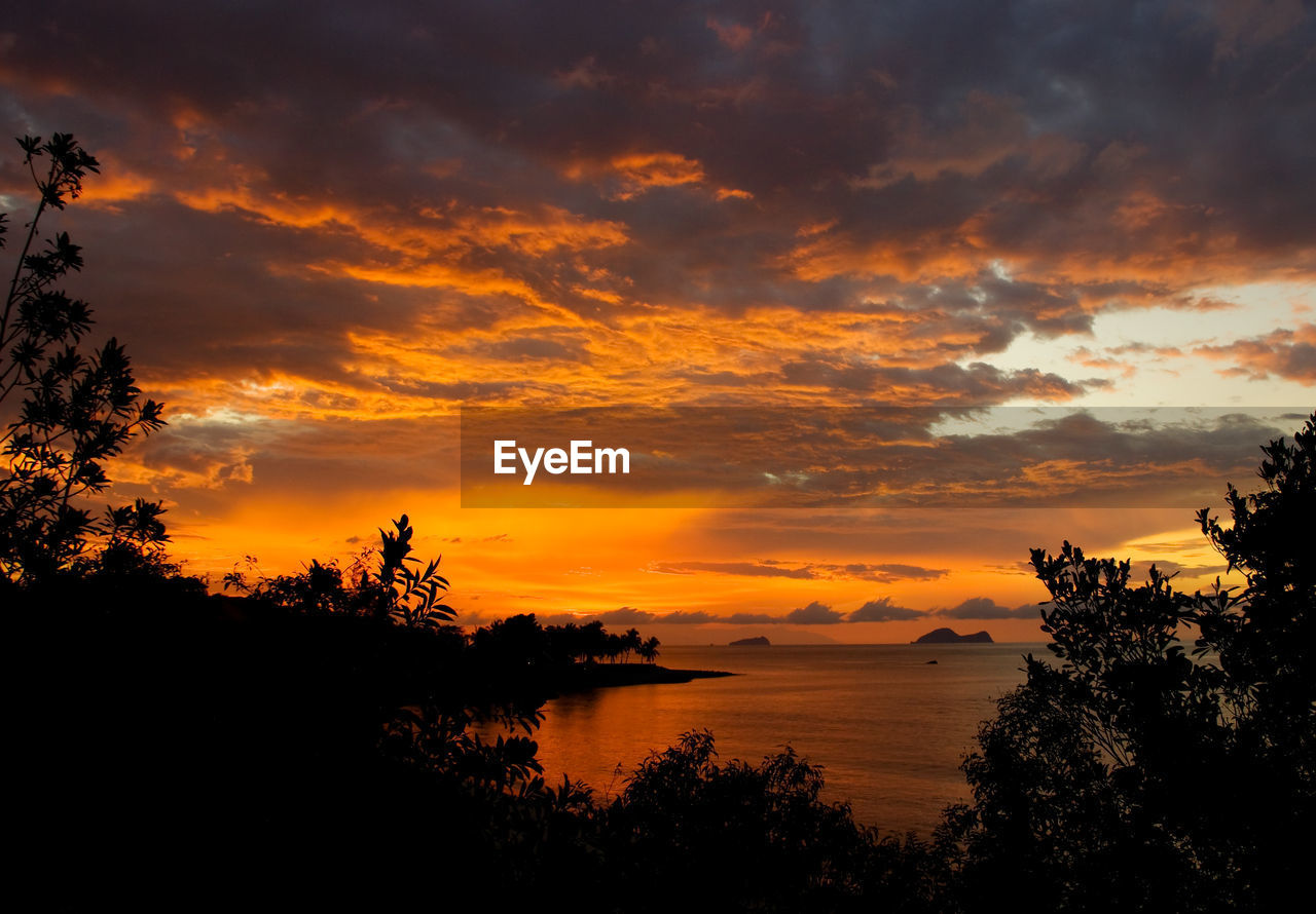 Silhouette trees and sea against orange cloudy sky during sunset