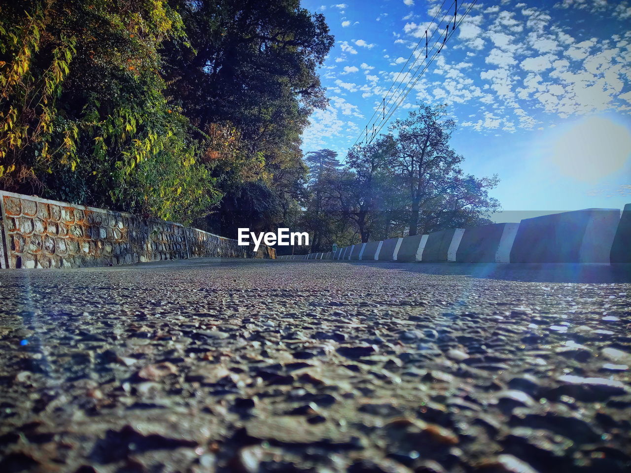 Surface level of autumn trees against sky. empty road, quarantine.