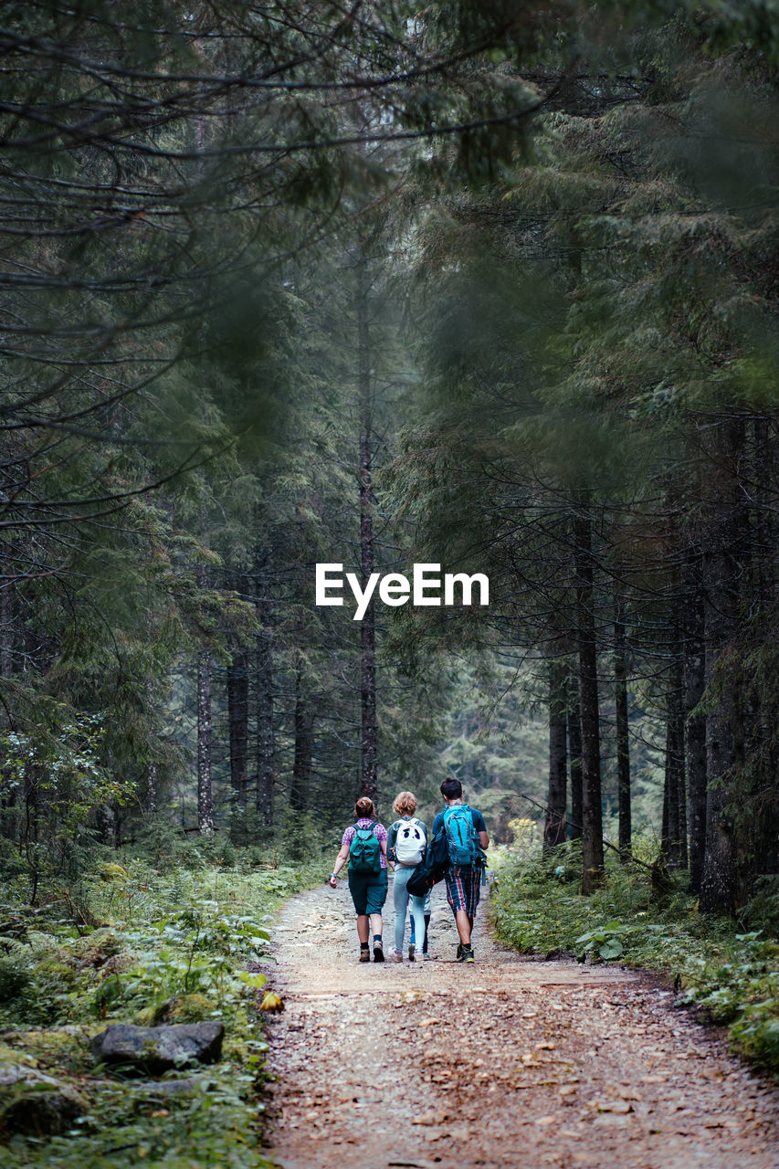 Family walking through the forest. spending vacation on wandering with backpacks in forests