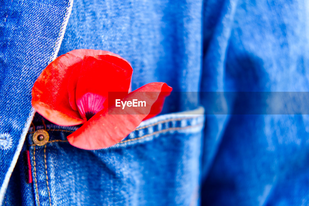 Wearing red poppy flower in a blue denim jacket buttonhole