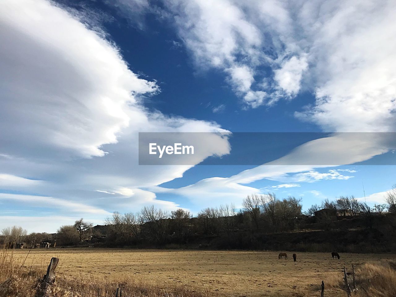 VIEW OF FIELD AGAINST SKY