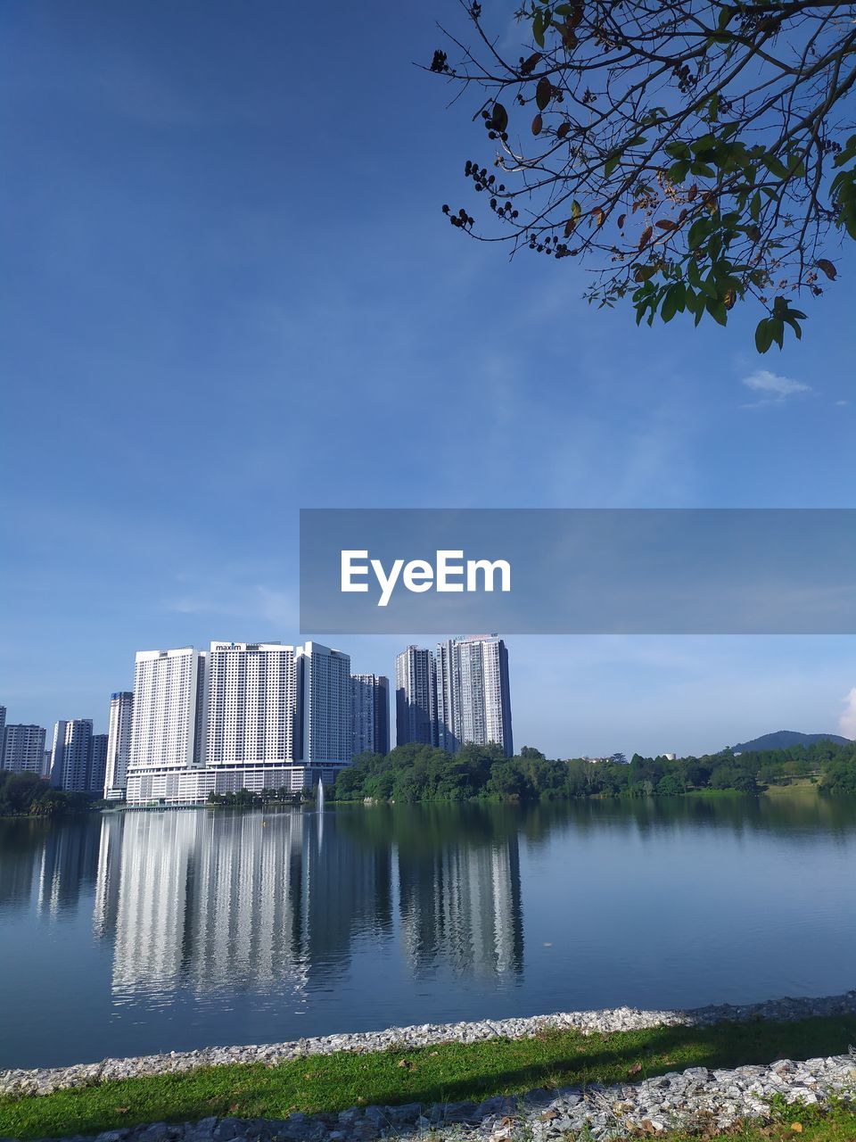 reflection, blue, sunlight, nature, sky, plant, tree, architecture, no people, day, built structure, water, outdoors, cloud, skyscraper, building, green, building exterior, low angle view, city, light, beauty in nature