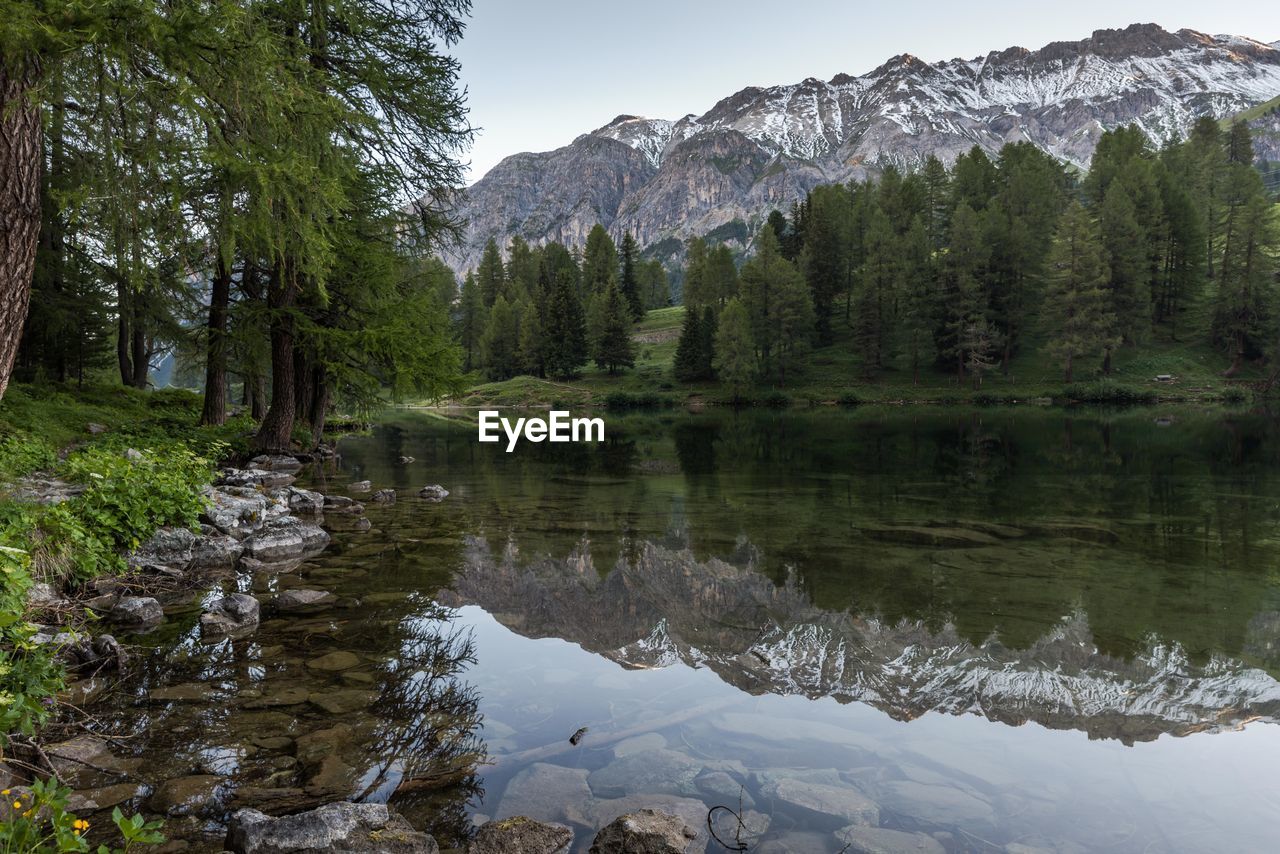 Scenic view of forest by mountain against sky