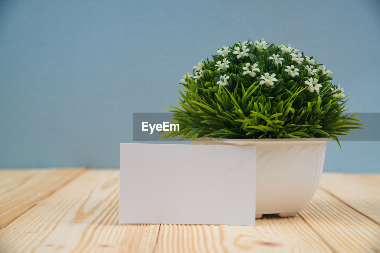 CLOSE-UP OF WHITE FLOWER VASE ON TABLE