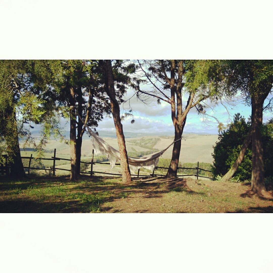 SCENIC VIEW OF TREES BY SEA