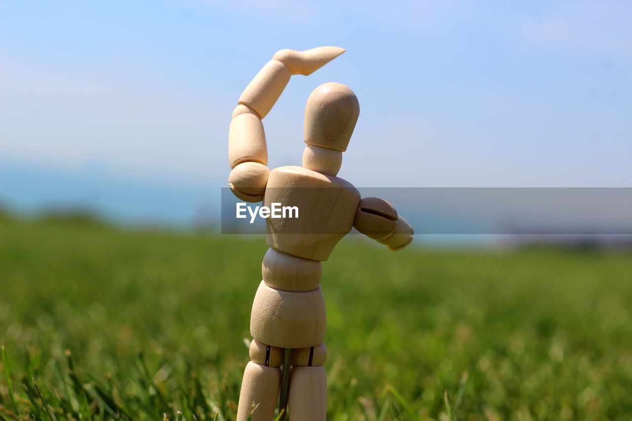 Close-up of wooden figurine on grass against sky