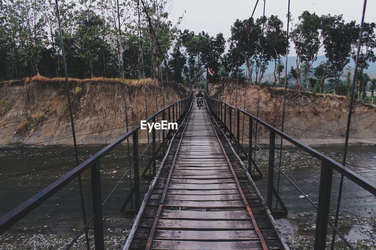 RAILROAD TRACKS AMIDST TREES IN FOREST