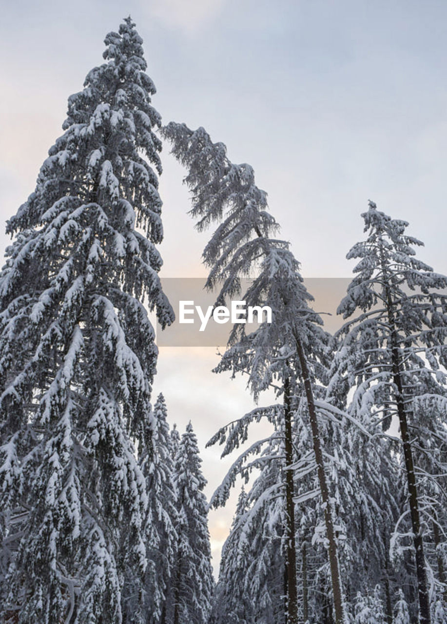 panoramic view of snow covered mountain against sky