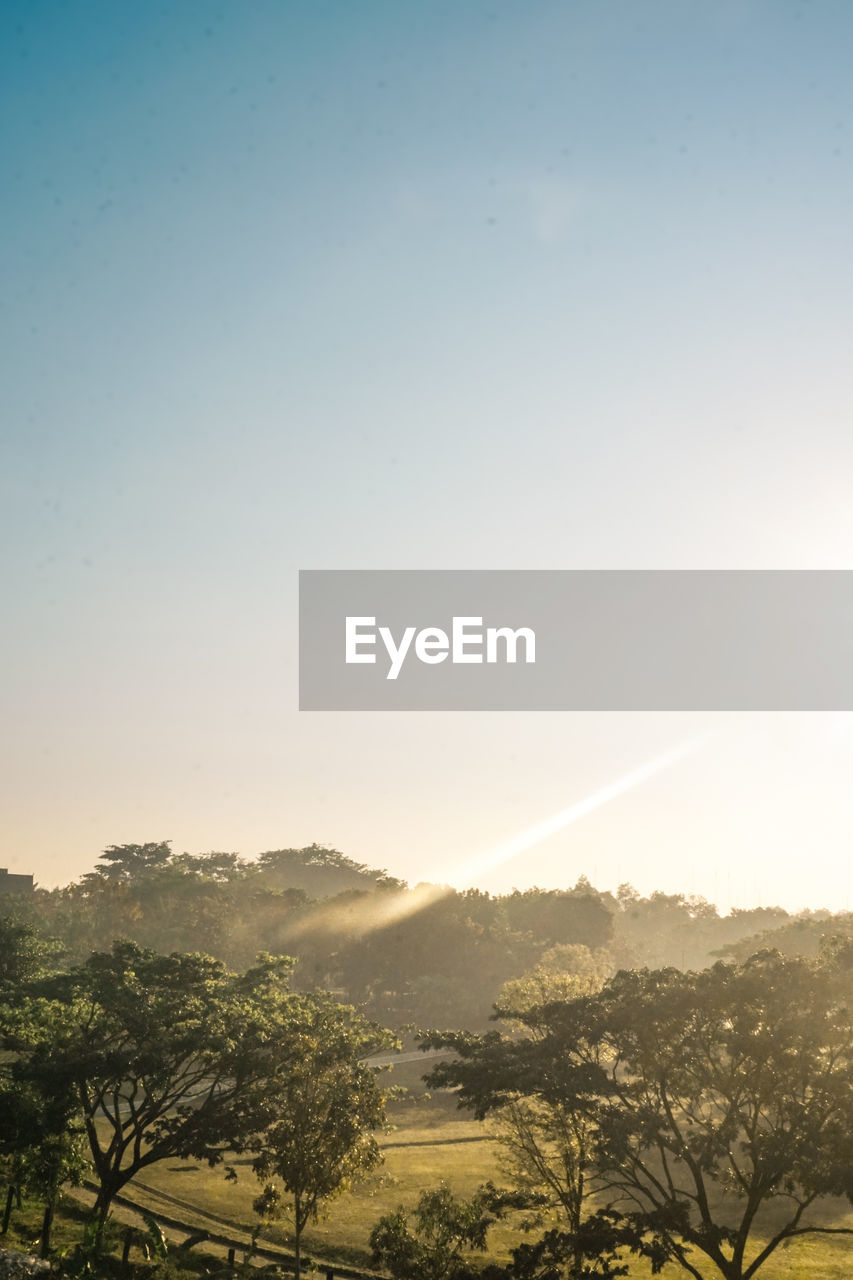 Scenic view of landscape against clear sky