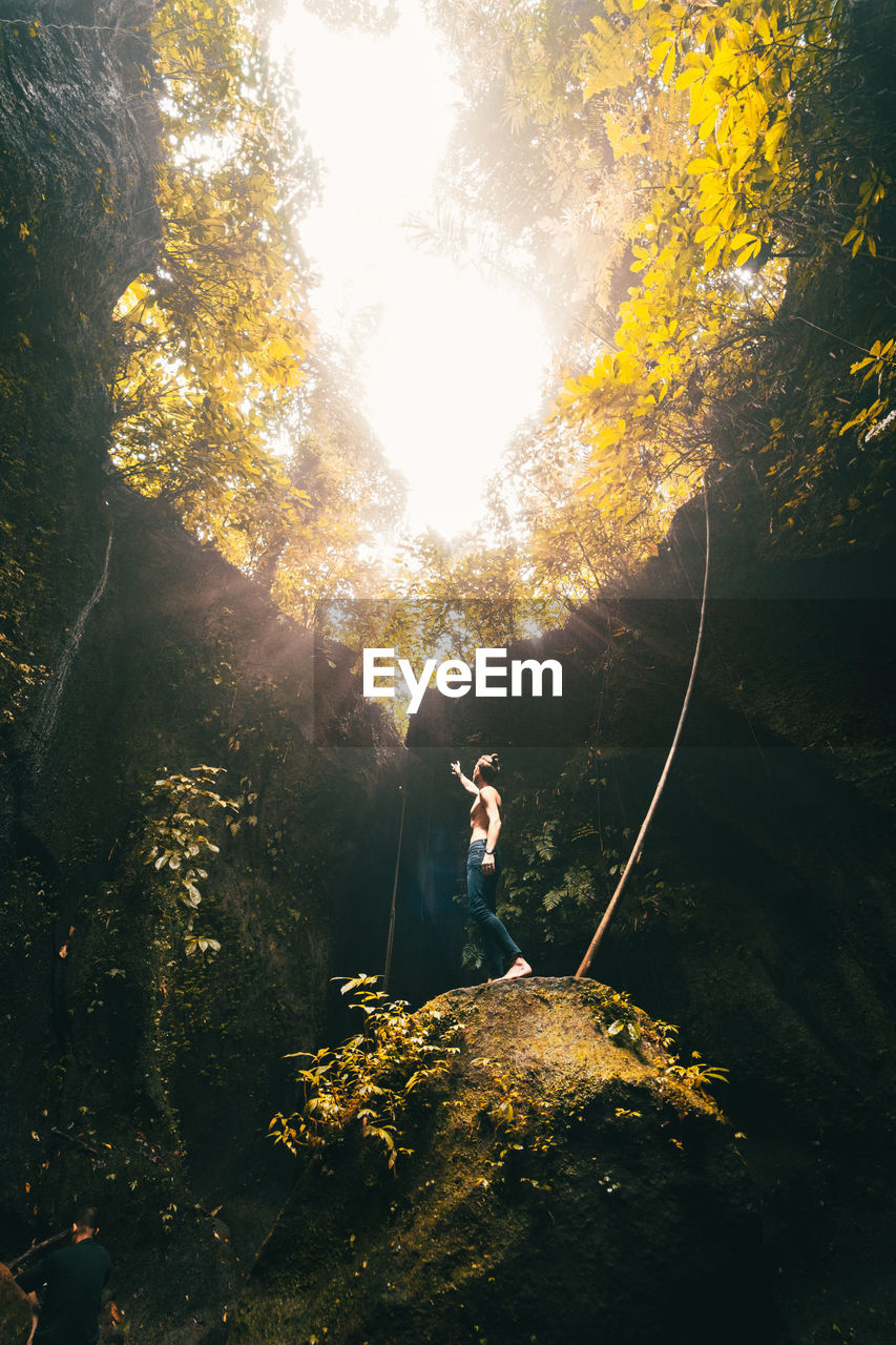 Woman standing by tree in forest