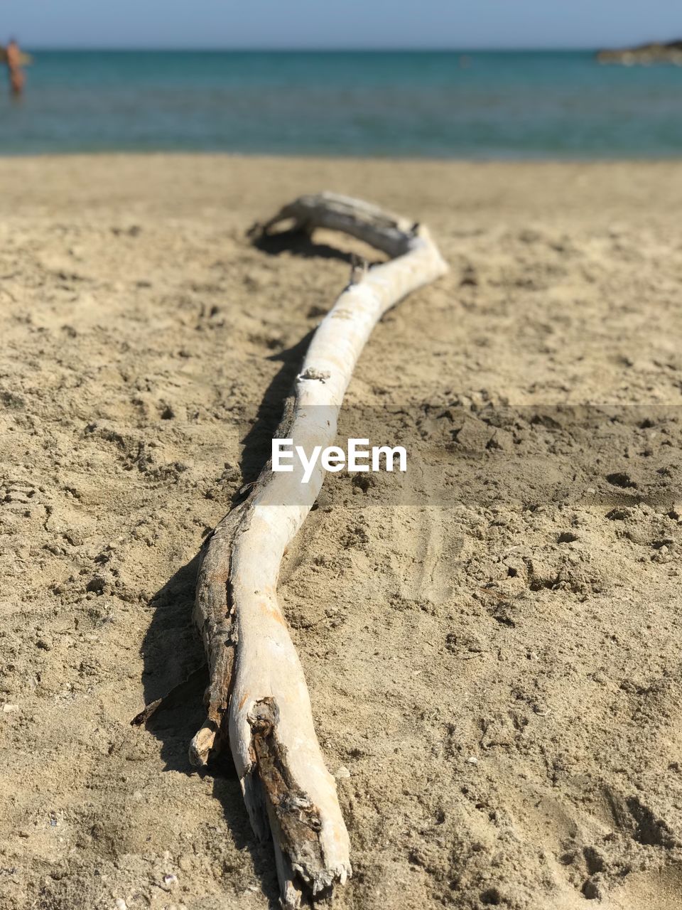 Close-up of wood branch on beach