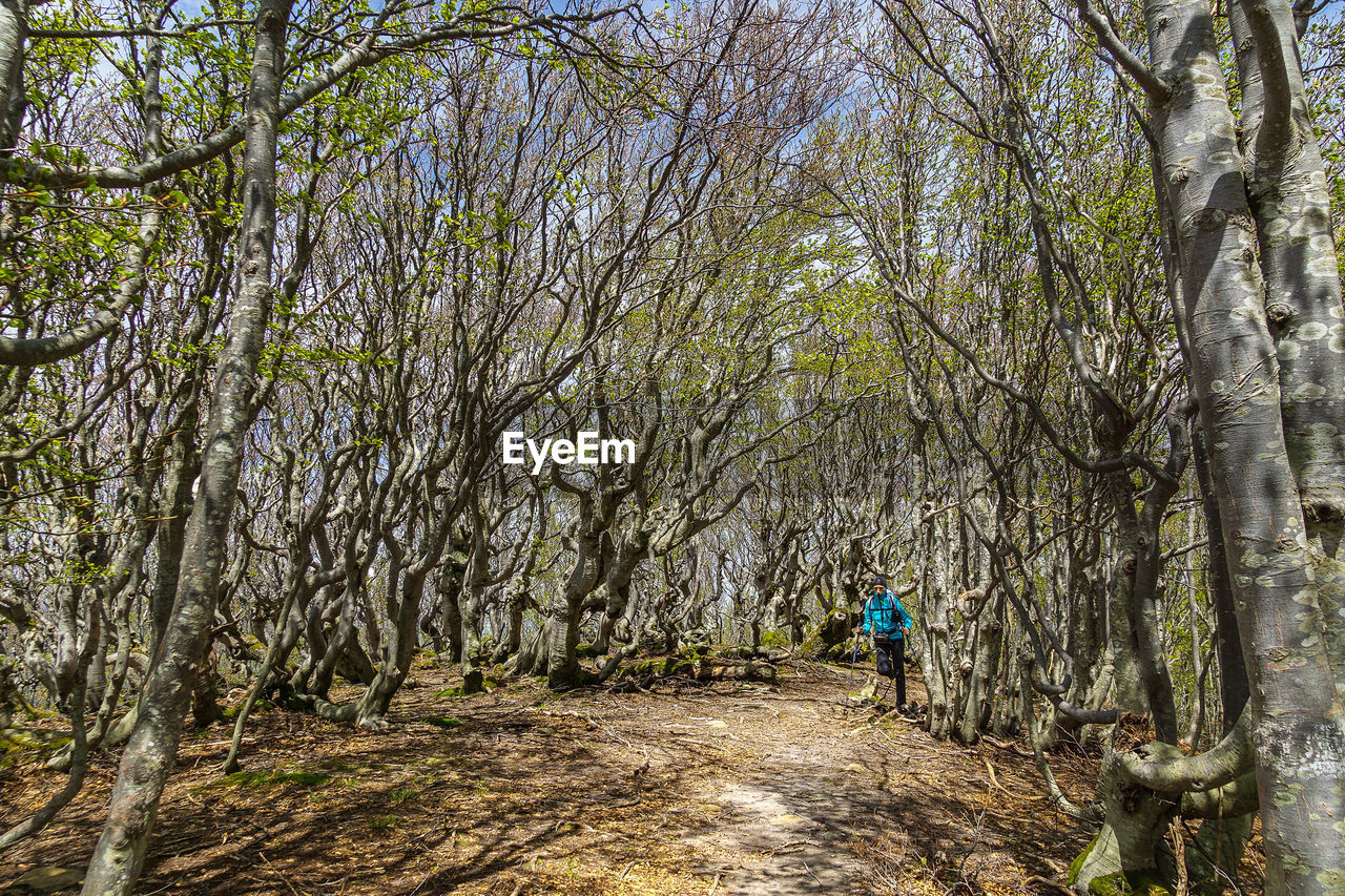 Woman in woods