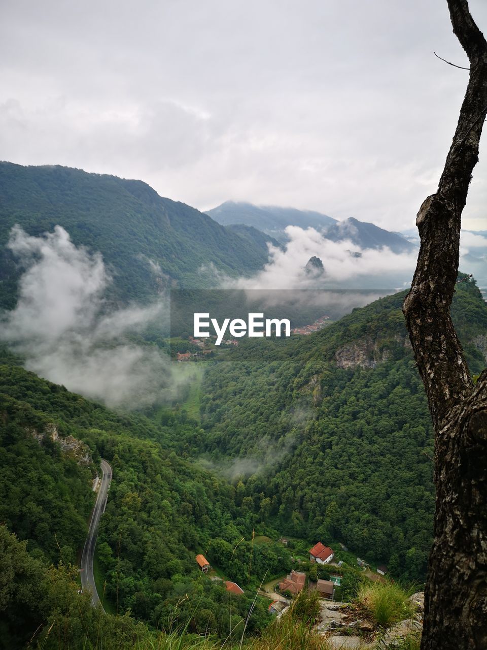 SCENIC VIEW OF TREES AND MOUNTAINS AGAINST SKY