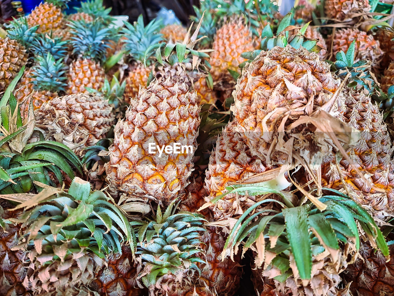 pineapple, ananas, no people, food and drink, plant, food, day, freshness, nature, high angle view, retail, conifer cone, abundance, market, produce, growth, for sale, leaf, tree, large group of objects, flower, outdoors, healthy eating, wellbeing, plant part, fruit, green, close-up, date palm, full frame