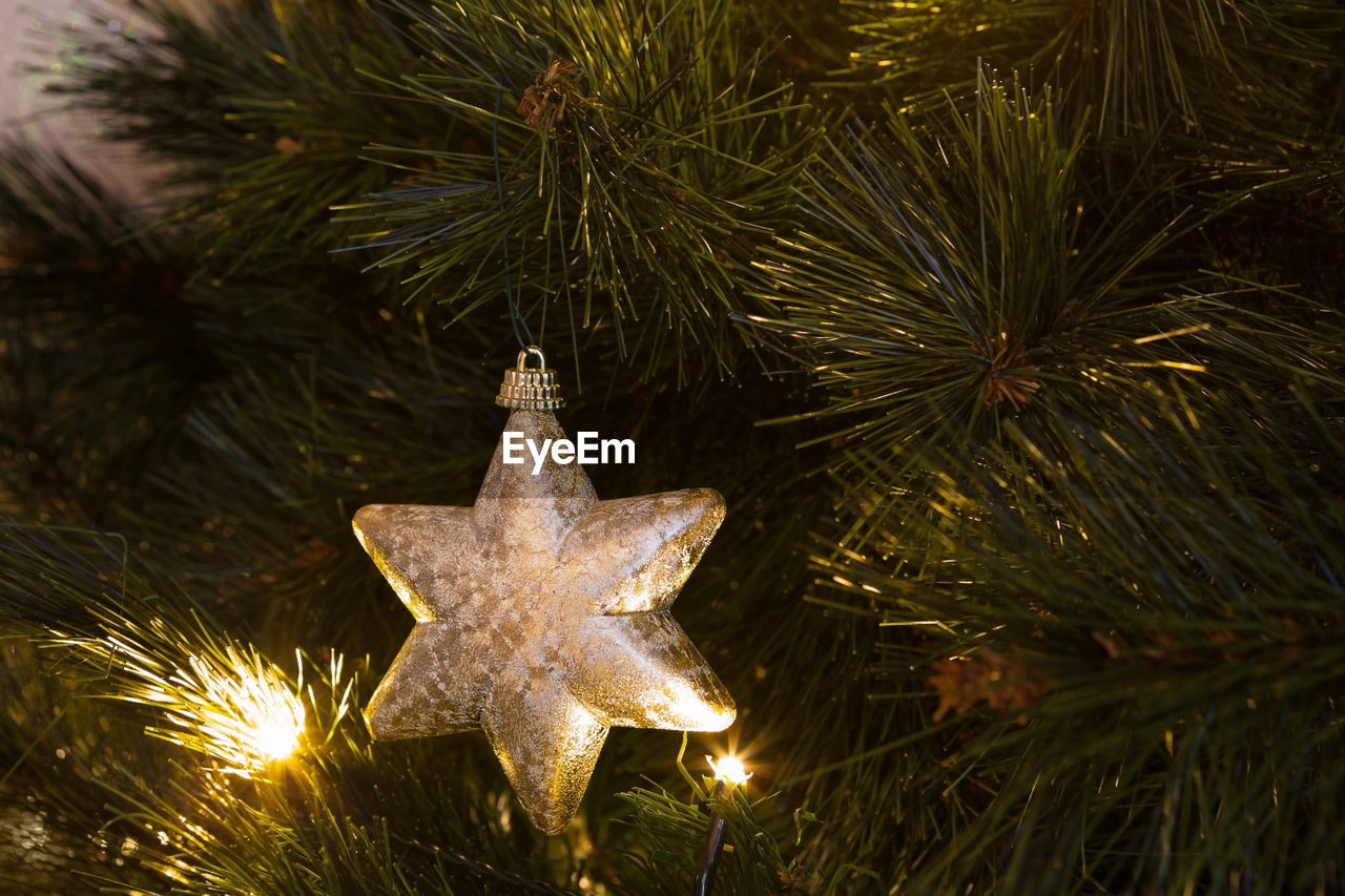 CLOSE-UP OF ILLUMINATED CHRISTMAS TREE ON BRANCH