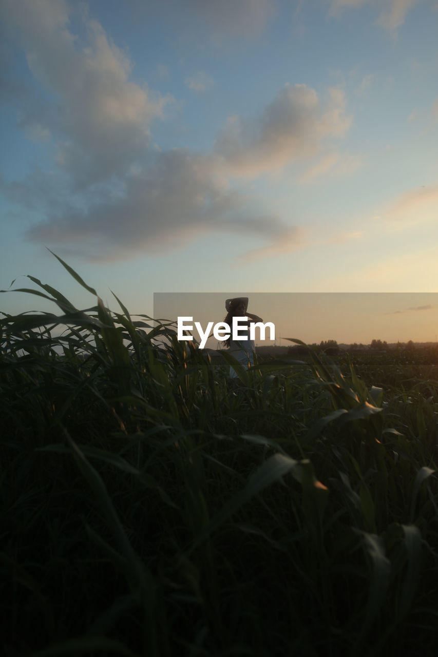 sky, sunlight, morning, plant, nature, grass, cloud, field, land, agriculture, one person, growth, landscape, beauty in nature, rural area, horizon, tranquility, outdoors, light, rural scene, adult, tranquil scene, standing, scenics - nature, environment, dawn, crop