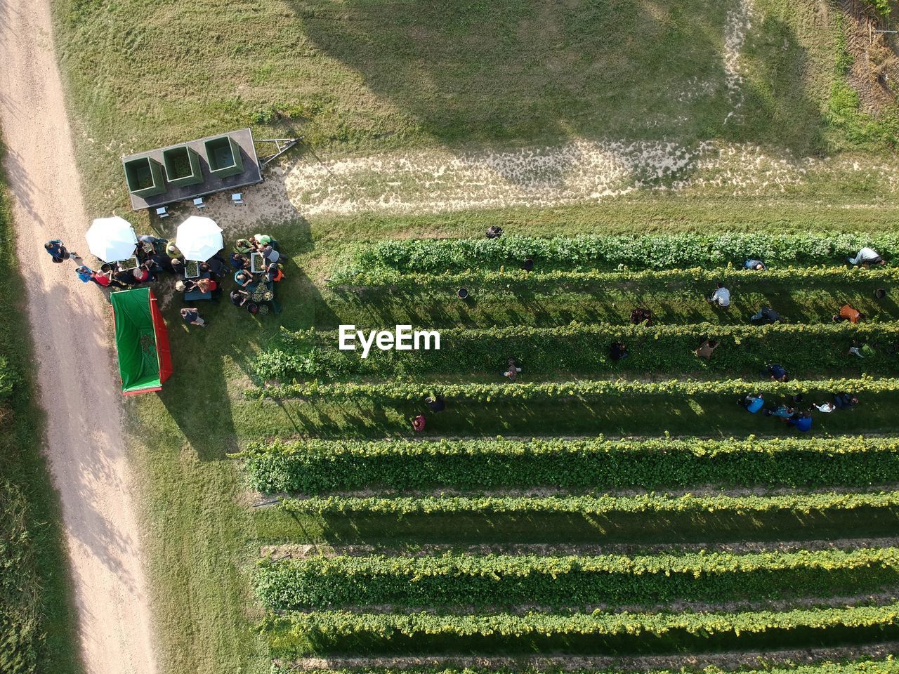 High angle view of people working on field