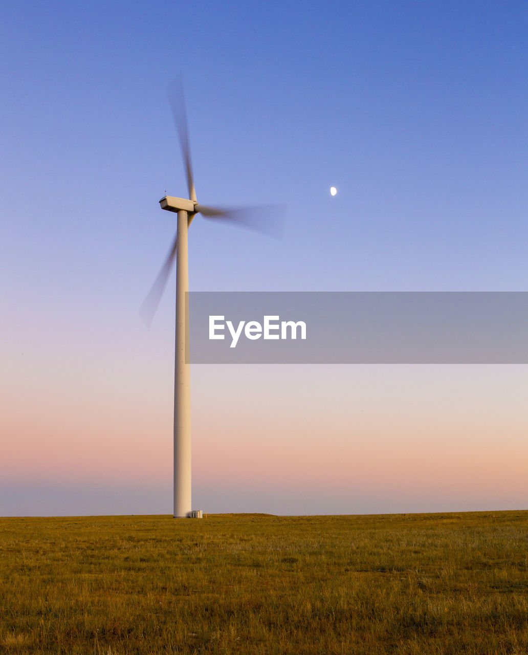 Colorado wind farm located on a wheat field during sunset