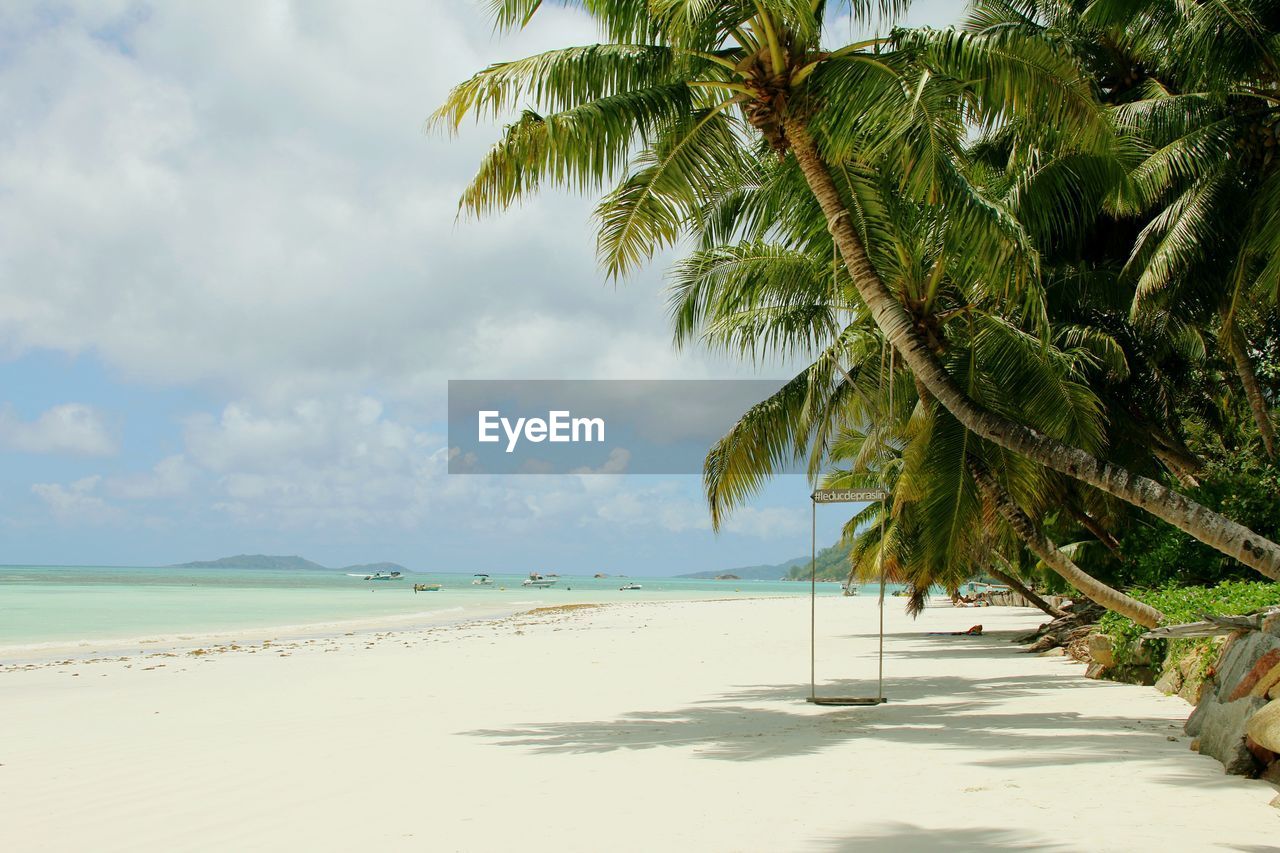 Palm trees on beach against sky with swing rope at seychelles 