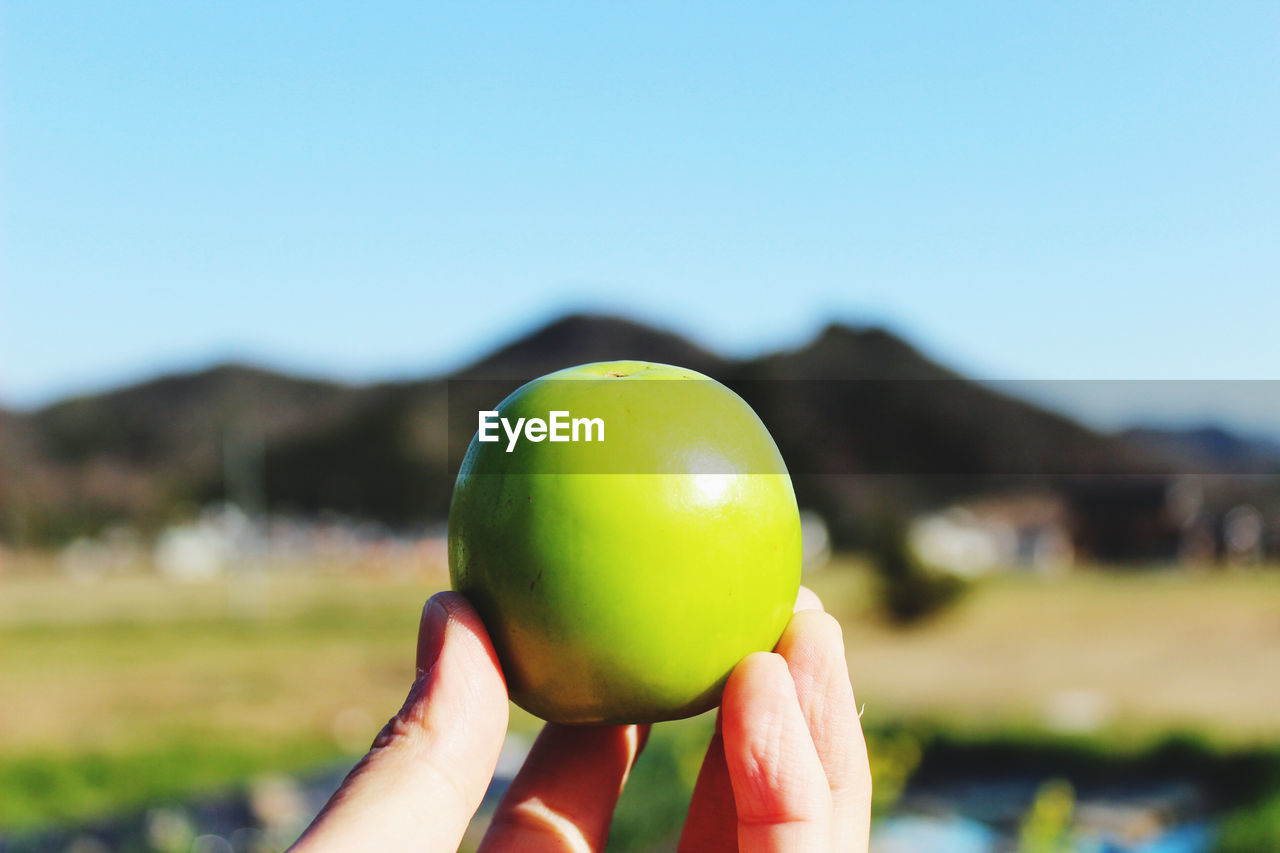 CLOSE-UP OF HAND HOLDING APPLE AGAINST SKY