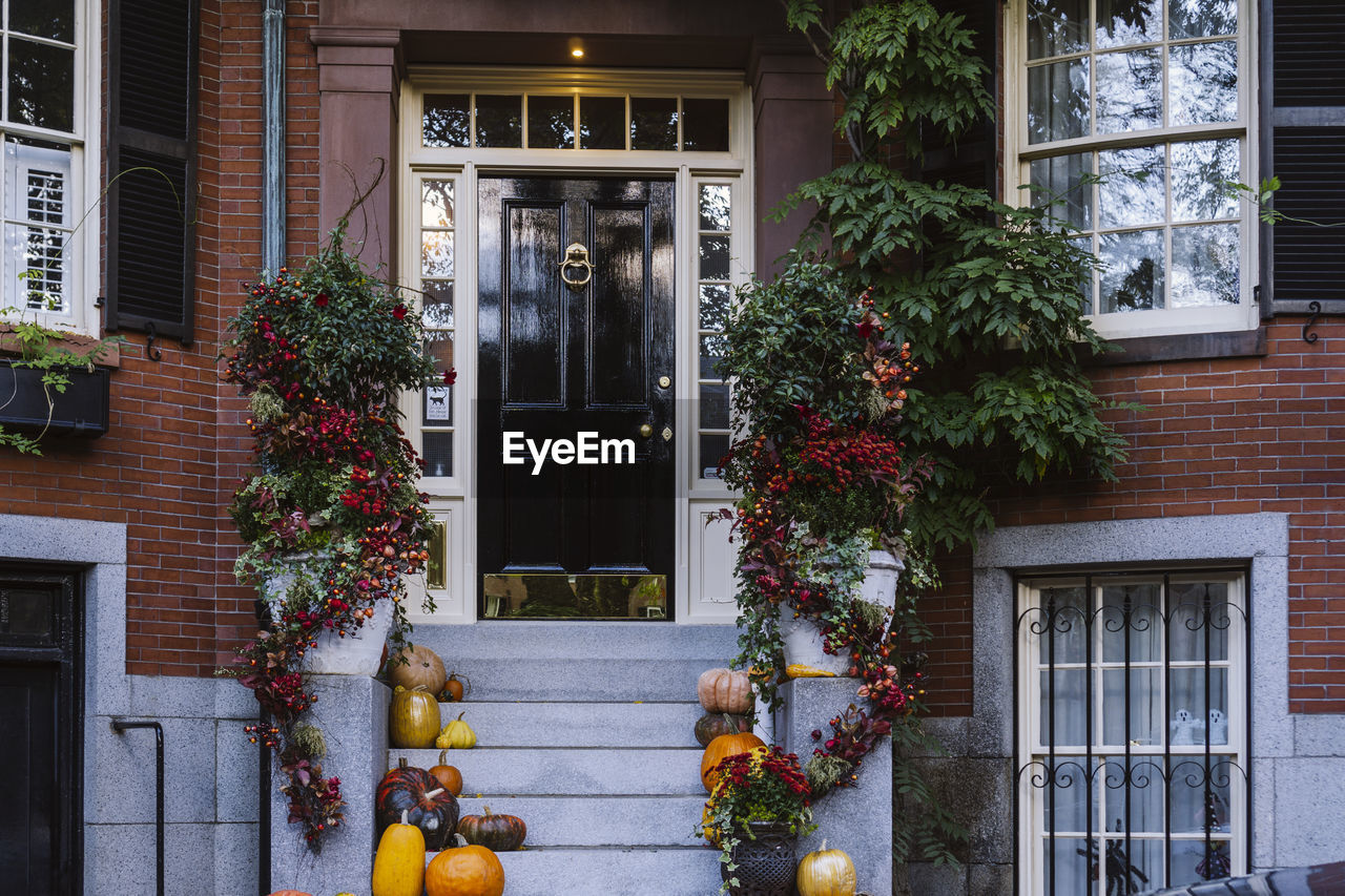 View of an entrance to apartment building. stoop with plants, flowers and pumpkins for thanksgiving