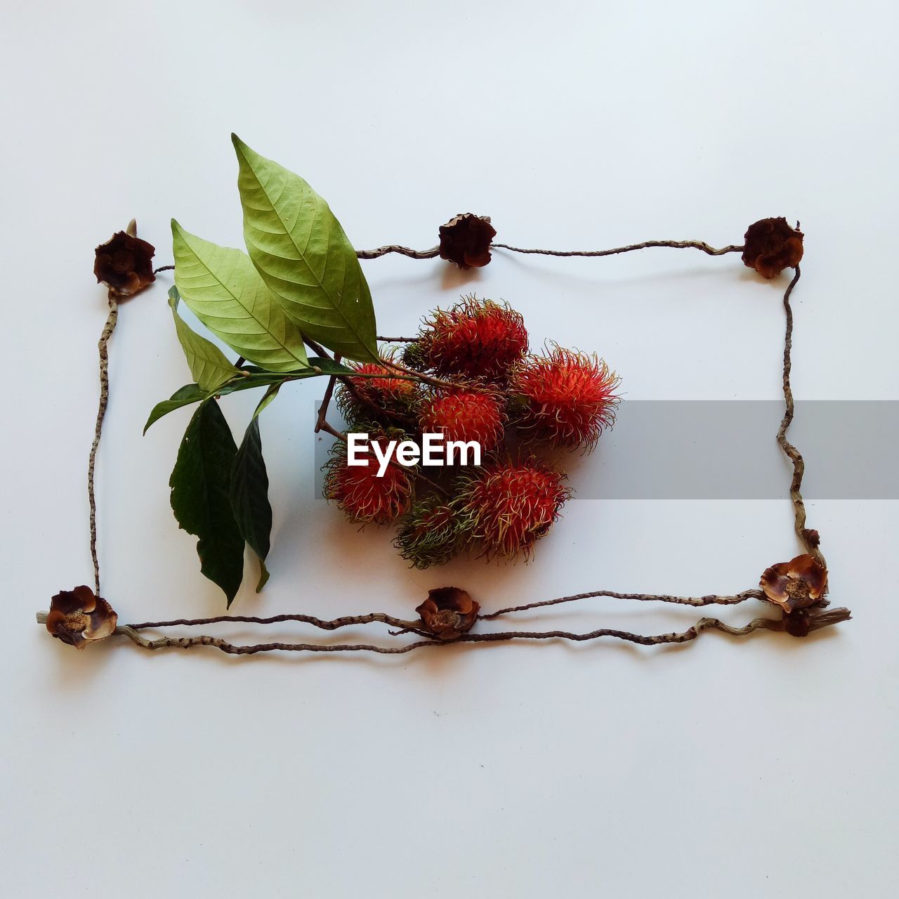 HIGH ANGLE VIEW OF DRIED LEAVES ON TABLE