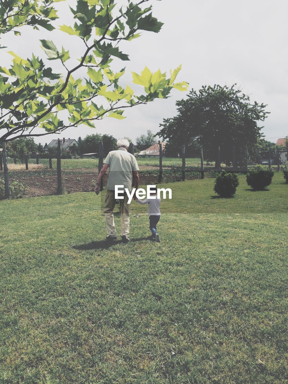 Rear view of grandfather with grandson walking on grassy field against sky