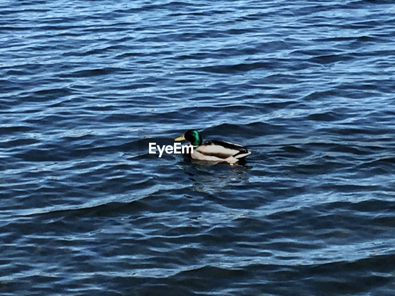 VIEW OF WATER IN WATER