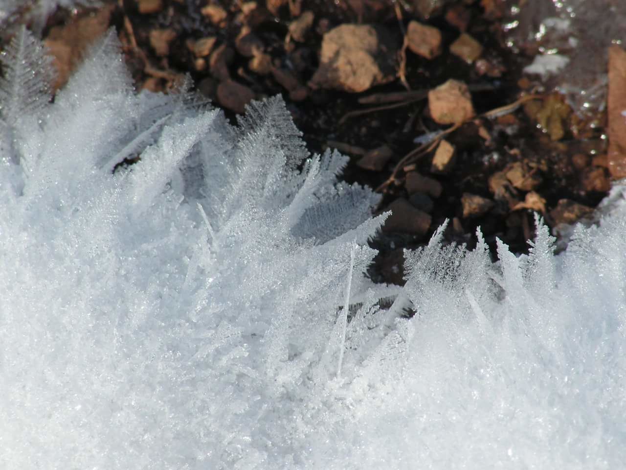 CLOSE-UP OF WATER IN SHALLOW