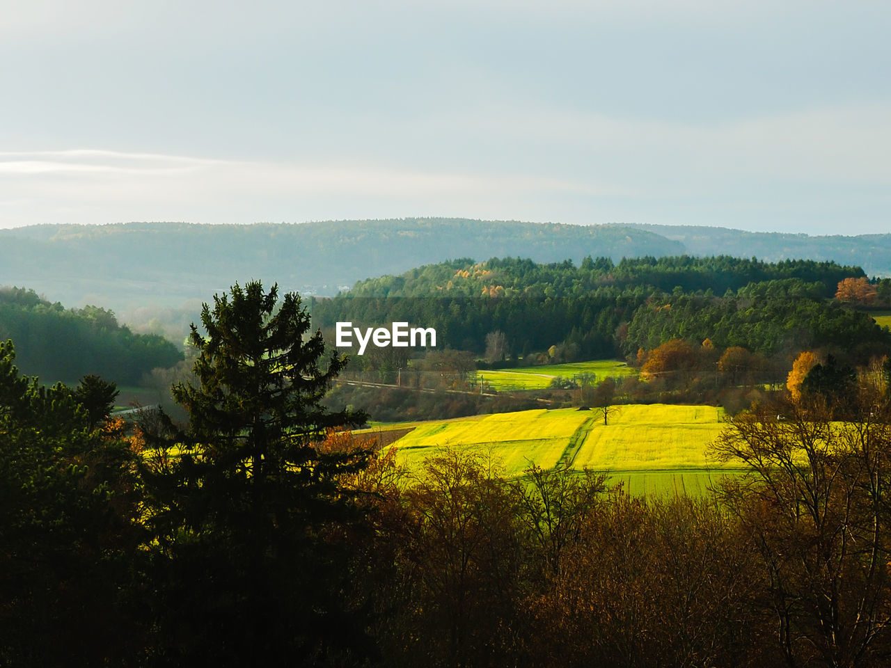 SCENIC VIEW OF AGRICULTURAL LANDSCAPE AGAINST SKY